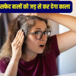 44 घंटे चलने वाले ईयरबड्स Noise Master Buds भारत में लॉन्च, जानें कीमत और फीचर्स