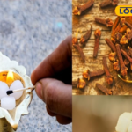 दुश्मनों को थर्रा देगा ‘तेजस’ का तूफान! ₹62370 करोड़ में 97 जेट्स की डील डन