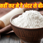 फिसलती हुई अलीनगर सीट पर मैथिली हो सकती है BJP की गारंटी