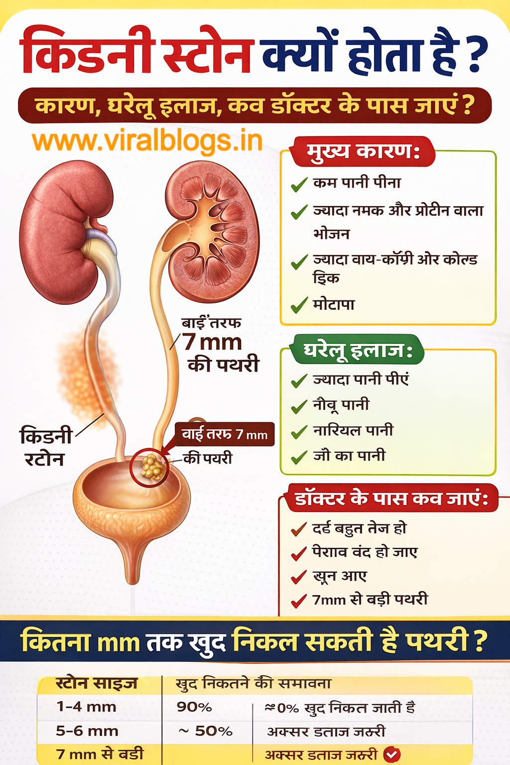 किडनी स्टोन क्यों होता है? कारण, घरेलू इलाज, कितना mm तक खुद निकल जाता है – पूरी जानकारी